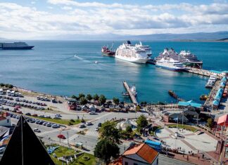 La intervención en el puerto adjudicó la obra de recambio de defensas