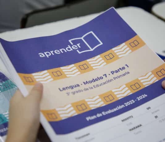 Alumnos fueguinos aumentaron su desempeño en Lengua pero siguen abajo en matemáticas
