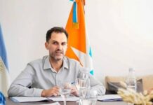 Cuál es el sector industrial más perjudicado por las políticas nacionales, según Francisco de Vita