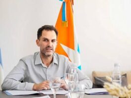 Cuál es el sector industrial más perjudicado por las políticas nacionales, según Francisco de Vita