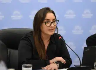 La ley de Tierras pasa a diputados: “Veremos qué es lo que hacen los gobernadores”