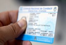 Por decreto, perderán la licencia de conducir quienes tengan muchas contravenciones