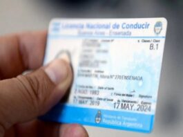 Por decreto, perderán la licencia de conducir quienes tengan muchas contravenciones
