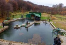 Sigue la polémica por la tarifa de las termas: “Harrington sabe muy bien lo que tiene que hacer”