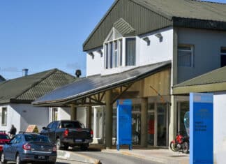 Tierra del Fuego registra casi 600 abortos por año
